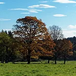 Raststueb'l Bed & Breakfast Sorge