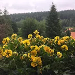 Bed & Breakfast Raststueb'l 3*