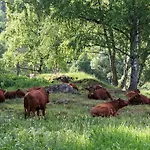 Bed & Breakfast Raststueb'l