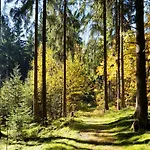 Bed & Breakfast Raststueb'l