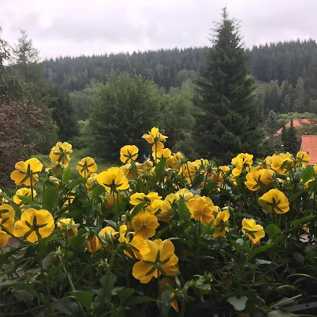 Frühstückspension Raststüb'l *