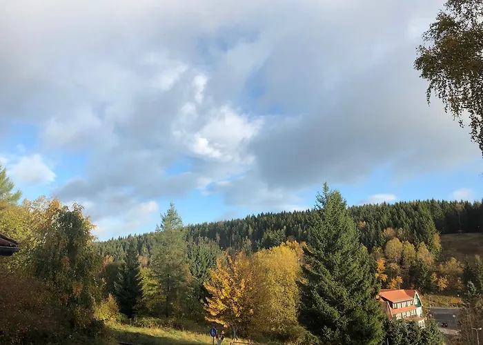 Raststueb'l 3* Sorge