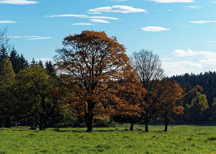 Raststueb'l Bed & Breakfast Sorge