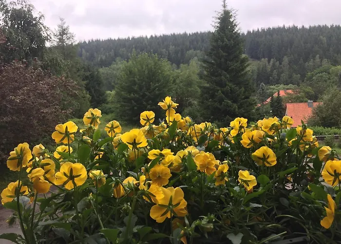 Bed & Breakfast Raststueb'l 3*