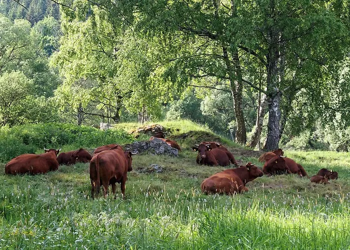 Bed & Breakfast Raststueb'l