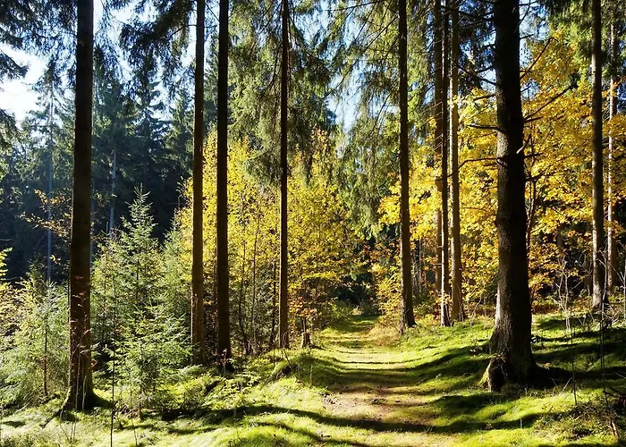 Bed & Breakfast Raststueb'l